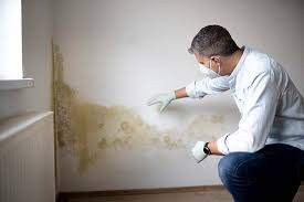 Biohazard Mold Removal in Pewee Valley, KY